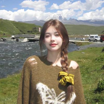 狮子今夜入睡海报