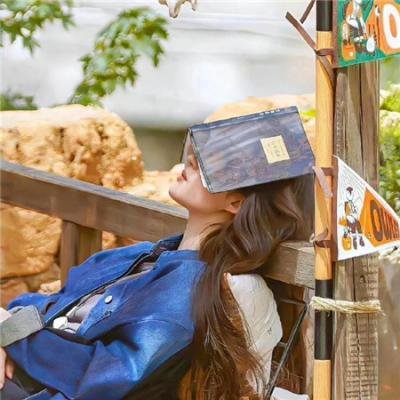 这女孩海报
